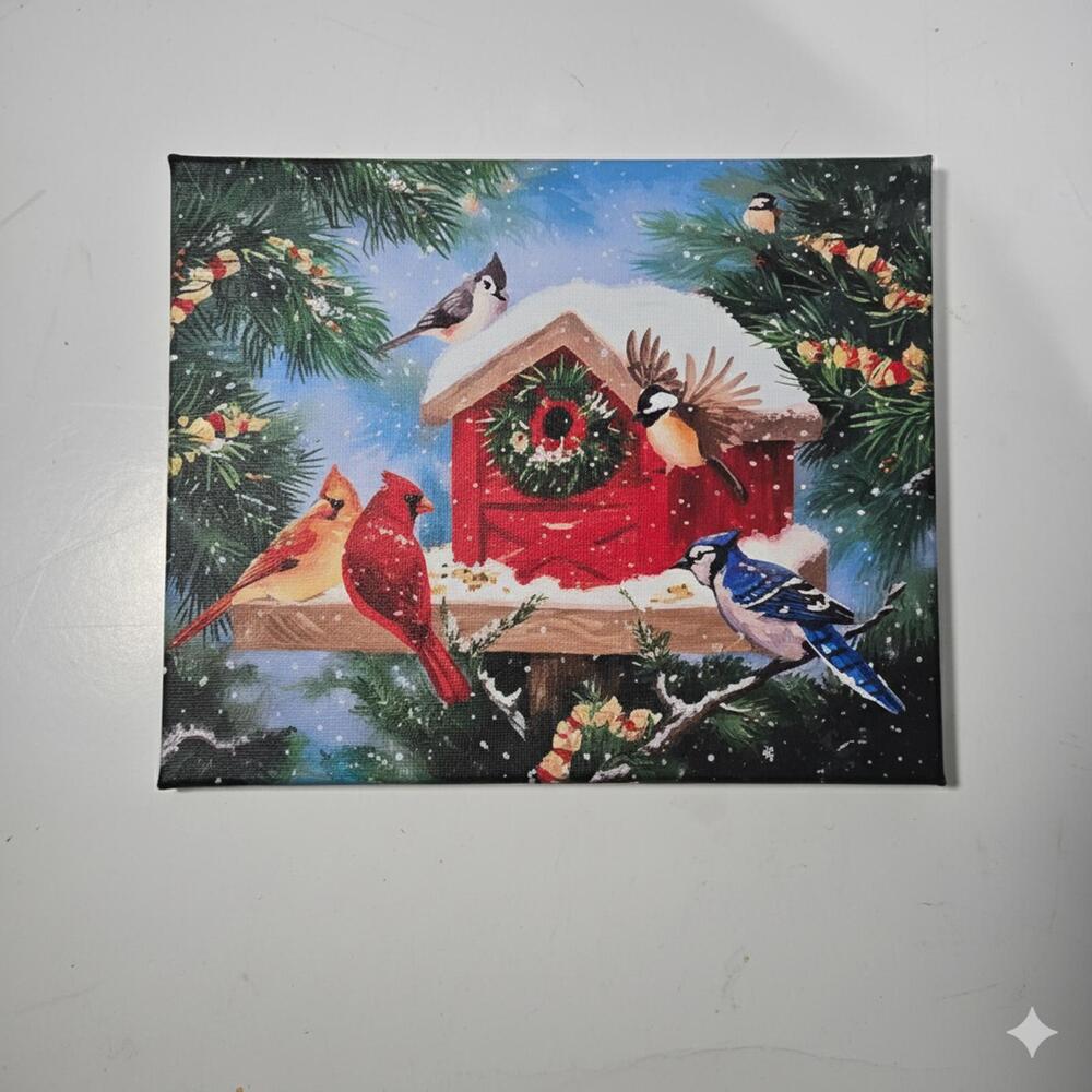 Acrylic Paint By Number Kit / New / 16" x 20" / Winter Birdhouse